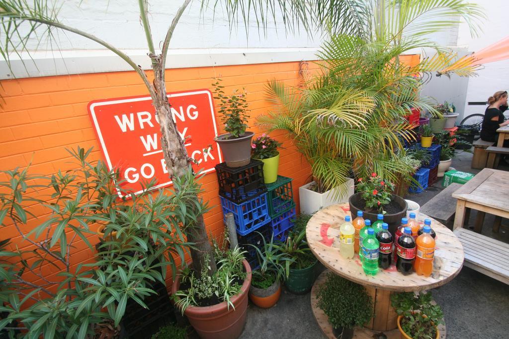 Zing Backpackers Ostello *